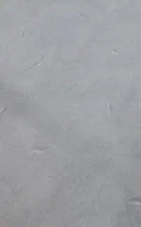 پالاز موکت توسی سفید جنس درجه یک