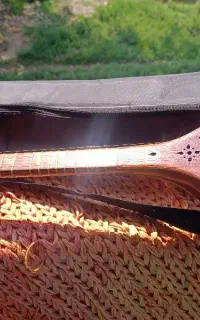 سه تار مفاخری ویژه