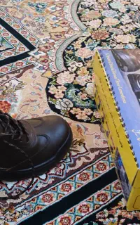 کفش ایمنی بهشتیان