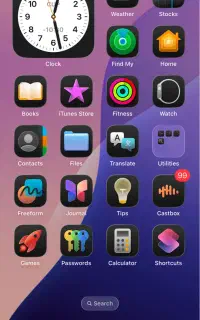 11 pro max 256
