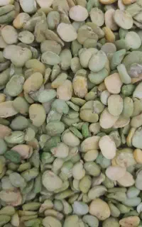 باقله امسال