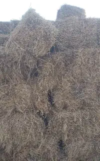 علف پرس آماده حمل