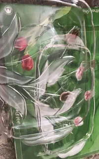 ظروف فرانسه