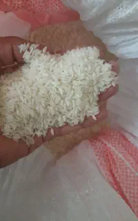 برنج پرمحصول خوش پخت