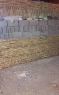 نی برای سایبان یا خلک