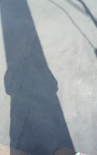 موکت