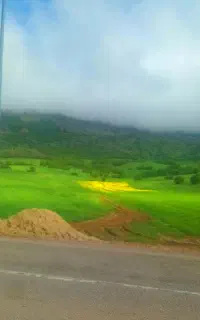 همراه سفر