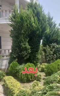 چمن زنی وباغبانی