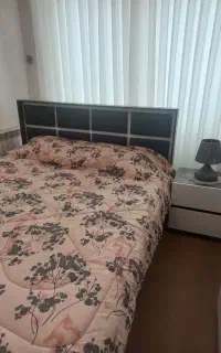 سردیس چوب