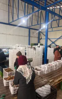 منشی آشنا به حسابداری
