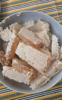 عسل طبیعی کوه تاسگ