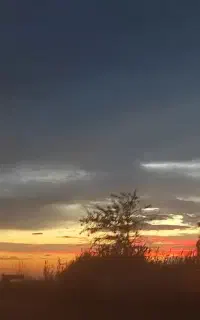 تدریس ریاضی ابتدائی ، متوسطه اول و دوم و کنکور