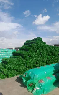 کارخانه تولید چمن فنس چمنی برگی