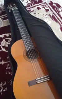 گیتار c40 نو