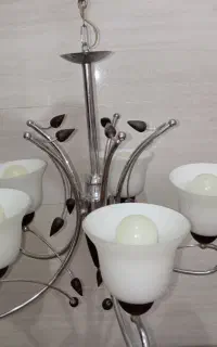 لوستر
