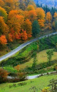 همراه برای طبیعت گردی