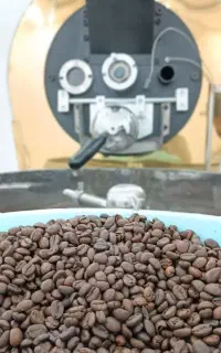 پخش عمده دان قهوه بصورت عمده و خورد