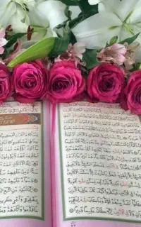 سرکتاب جامع با جزئیات ،کامل ،دقیق