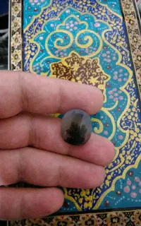شجر طبیعی