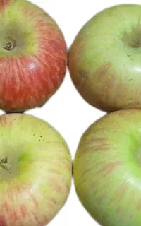 سیب آبدار ، ترش خوشمزه
