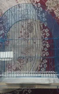 قفس پرنده