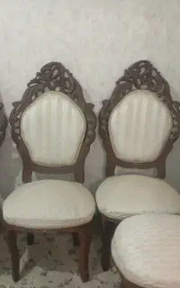 4عدد ناهارخوری یا میزبان