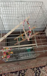 یک عدد قفس بزرگ مناسب طوطی و کاسکو عروس هلندی
