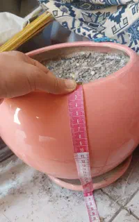 ده عدد گلدان سرامیکی