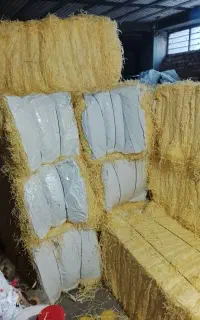 پوشال میوه