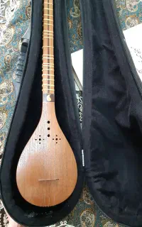 سه تار فوق حرفه ای شیرازی