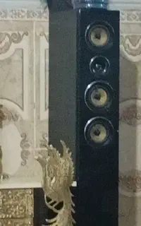 اسپیکر دوقلو خیلی ازشون استفاده نکردم