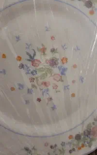 پیش دستی