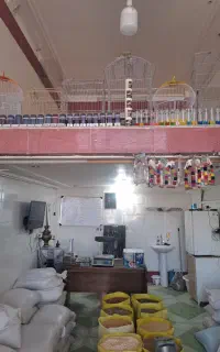 خوراک پرنده وحبوبات