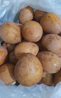 چیکو میوه استوایی