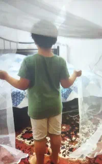 پشه بند