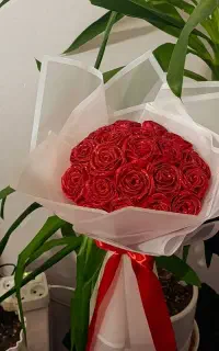 گل جاودانه توضیحات بخون