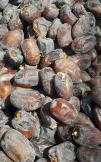 ۷تن خرمای کلوته فله درجه ۱ عنبرآباد