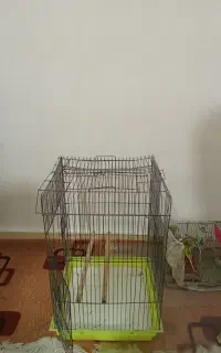 قفس درنده