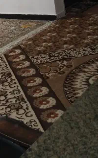 یک عدد گهبه فروشی