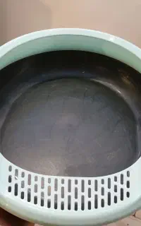 ظرف خاک گربه