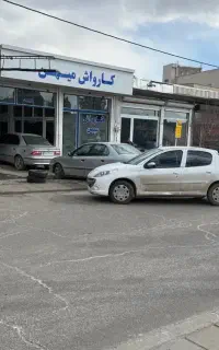 استخدام کارواش