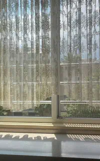همکار منزل خانم. برای نظافت و کار منزل. وسواس