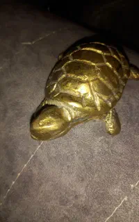 لاکپشت برنز