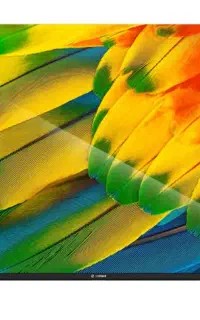 تلویزیون ال‌ای دی اسنوا ۴۳ اینج