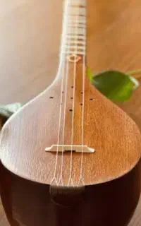 سه تار
