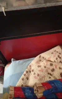 فروش تخت یکنفره به همراه تشک