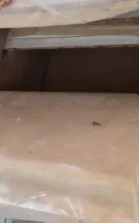 ماینر...سایلنت باکس