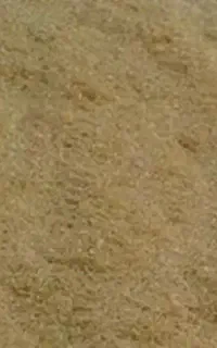 کاه گندم