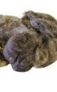 پشم گوسفند