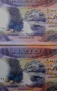 دینارکلوکسیونی